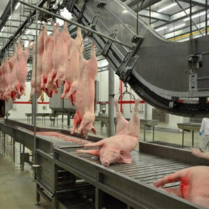 1. Mesa de apuestas, elevación de rieles de tubería y máquina de elevación de dos rieles para la línea de equipos de matanza de cerdos