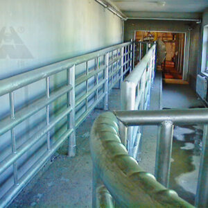 2. Pasaje para línea de equipos de sacrificio de matadero de ganado bovino