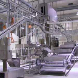 3. Transporte de control síncrono de despojos blancos y rojos para la línea de equipos de matanza de ganado bovino