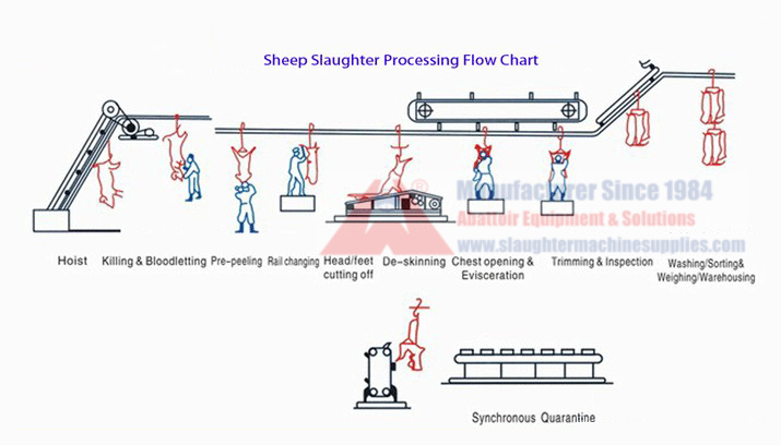 Diagrama de flujo de sacrificio y procesamiento del matadero de ovejas
