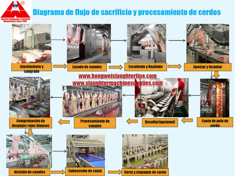 diagrama de flujo de la línea de procesamiento y matanza de cerdos