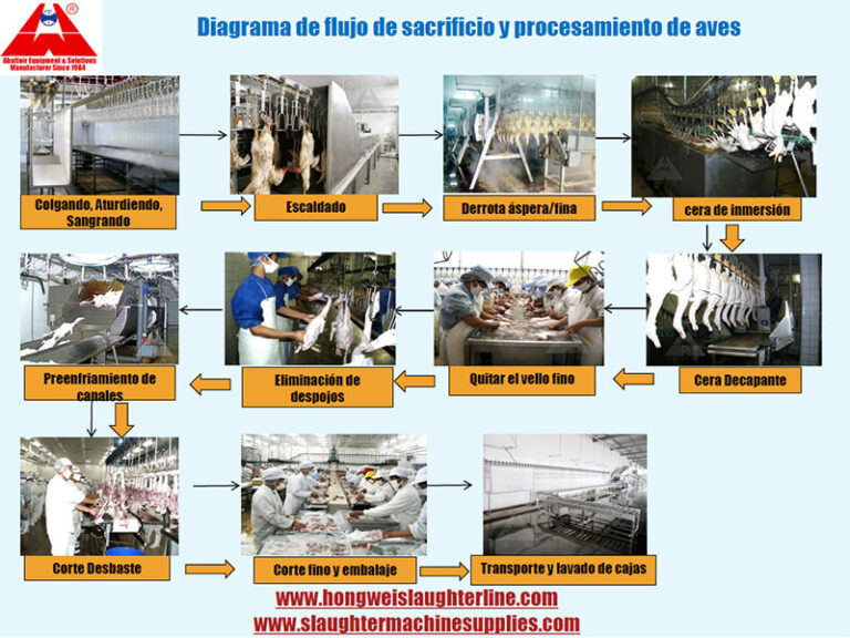 diagrama de flujo de la línea de procesamiento y matanza de pollos o aves de corral