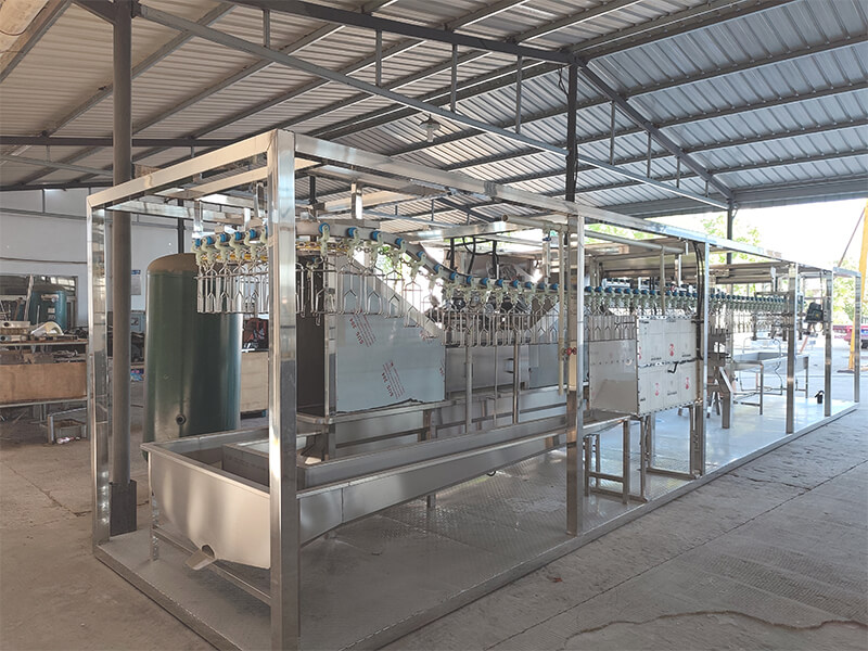 Equipos para el procesamiento de aves de corral y máquinas de sacrificio de pollos en la línea de sacrificio compacta de HW Machinery Factory